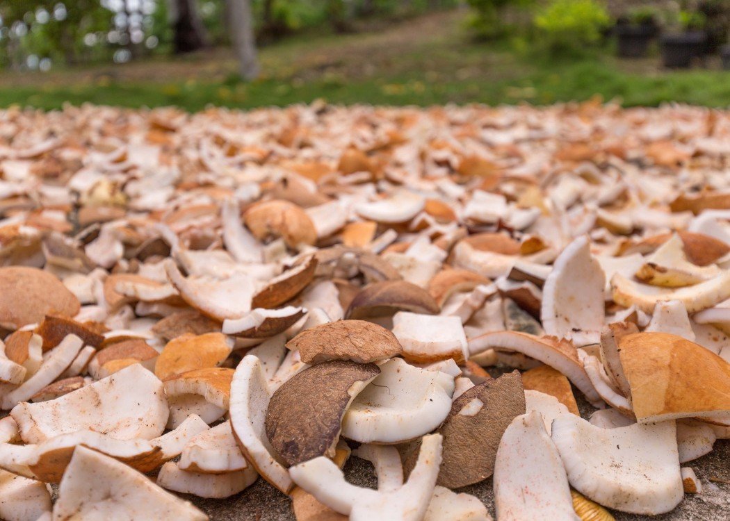 PT TUNAS HARAPAN TERANG - Photo Product 24