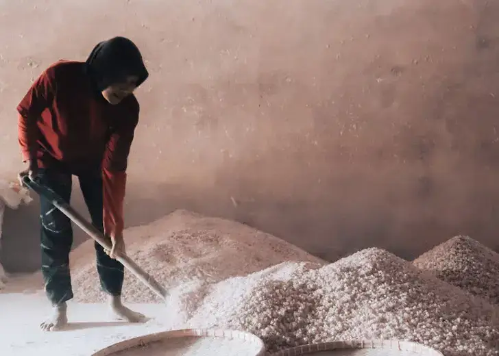 PT TUNAS HARAPAN TERANG - Photo Product 3