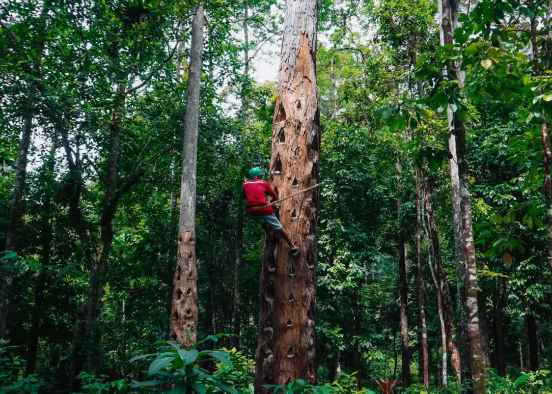 PT TUNAS HARAPAN TERANG - Photo Product 8